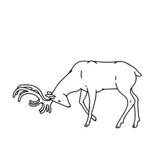 Wild dark deer male buck with branched horns attack butt view profile vector outline black white sketch illustration.