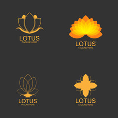 Beauty Vector Lotus flowers design logo Template icon