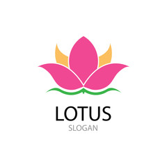 Beauty Vector Lotus flowers design logo Template icon