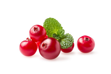Fresh ripe cranberry with green mint leaves