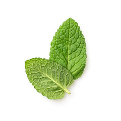 Fresh mint leaves isolated on white