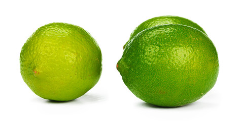 Lime citrus fruit isolated on white background