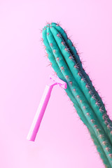 Concept of woman female shaving: pink razer on a pink background shave a cactus, copy space,...
