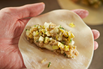 Home made hand wrapping dumpling 