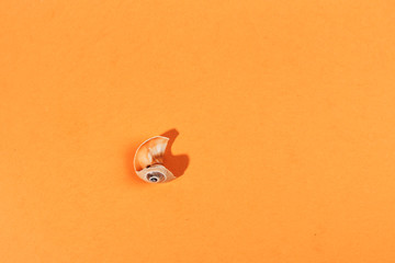 Alone Broken shell on blue background with hard dark shadow. Flat lay.