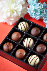 Assorted chocolate truffle on red background 