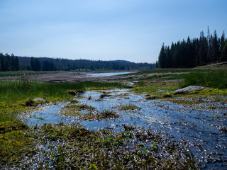 landscape with river