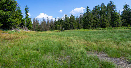 Landscape of grasslands