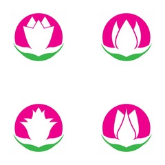 Set of vector illustration icon of beautiful tulips with white background