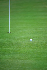 golf ball on green grass