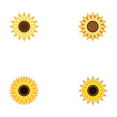 Set of vector illustration icon of beautiful sunflower with white background