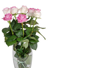 Bouquet of beautiful pink roses on a white isolated background