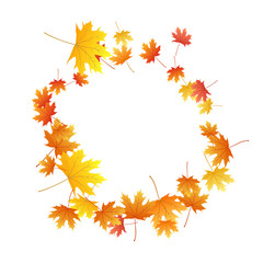 Maple leaves vector background, autumn foliage on white graphic design.