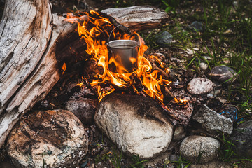 Kettle hanging over fire. Cooking food at fire in wild. Beautiful big log burns in bonfire close-up. Survival in wild nature. Wonderful flame with caldron. Pot hangs in flames. Campfire background.