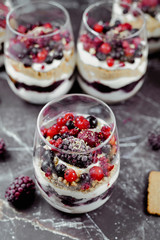 Top view of homemade layered red berry fruit, cookie crumbs and cheesecake cream dessert in glasses