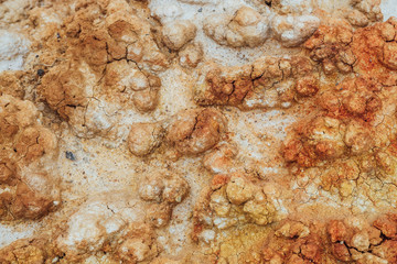 Nature background of cracked dry lands. Natural texture of soil with cracks. Broken clay surface of...