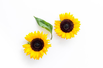 Sunflowers - two flowers with leaf - on white background top-down