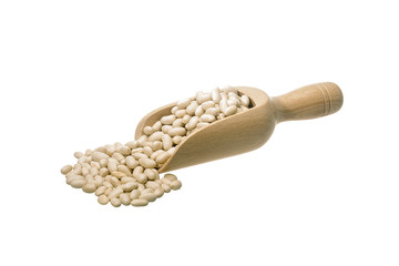 White Beans from La Baneza Bean