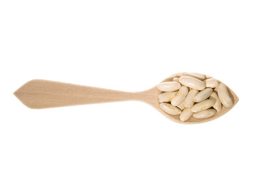 White beans of the Faba Asturiana variety