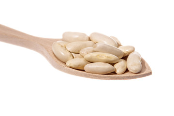 White beans of the Faba Asturiana variety