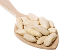 White beans of the Faba Asturiana variety