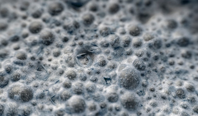 Mold in the foreground