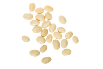 White beans of the Fessol de Santa Pau variety