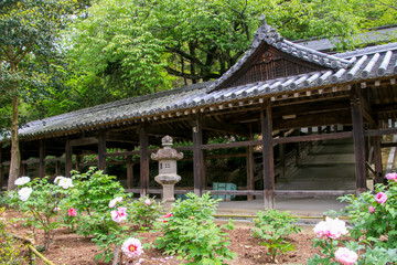 Fototapeta na wymiar 吉備津神社
