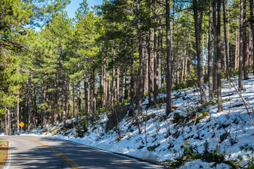 A long way down the road of Black Hills National Forest, South Dakota