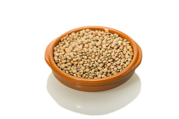 Lentil Pardina, variety of legumes