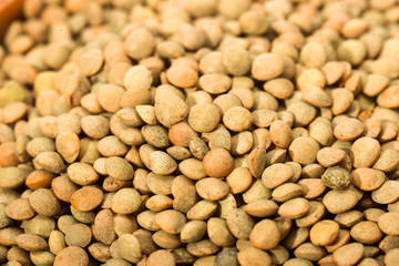 Lentil Pardina, variety of legumes
