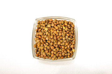 Lentil Pardina, variety of legumes