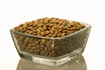 Lentil Pardina, variety of legumes
