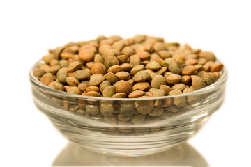 Lentil Pardina, variety of legumes