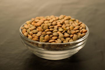 Lentil Pardina, variety of legumes