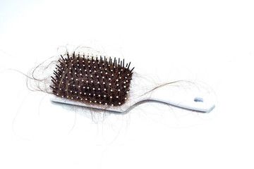 White hair for brushes There are a lot of hair entangled. Putting on a white background