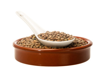 Lentil Pardina, variety of legumes