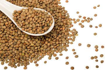 Lentil Pardina, variety of legumes