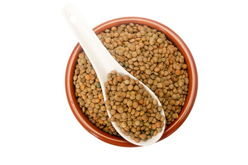 Lentil Pardina, variety of legumes