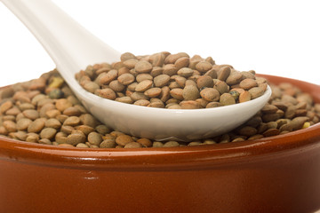 Lentil Pardina, variety of legumes