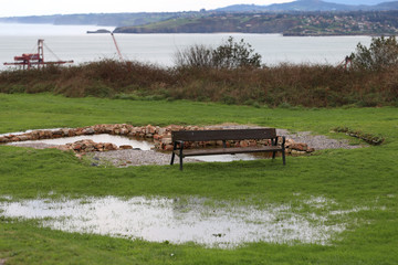 Wooden bench on green meadow after rain, Campa Torres - 320494652