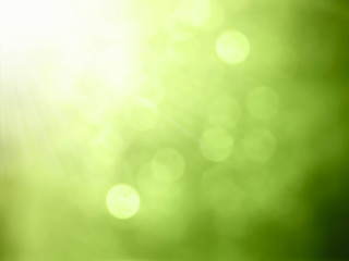 Fototapeta premium Natural Bokeh with sun rays.green bokeh abstract light background.