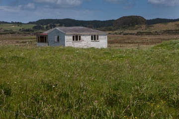 Shed in meadow. Northland New Zealand