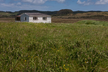 Shed in meadow. Hills. Northland New Zealand.