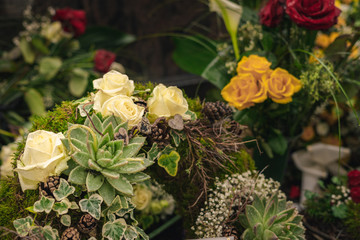 colorful flowers and beautiful roses