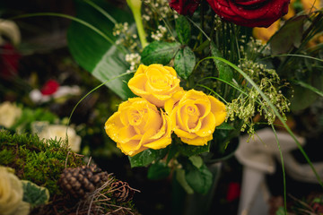 colorful flowers and beautiful roses