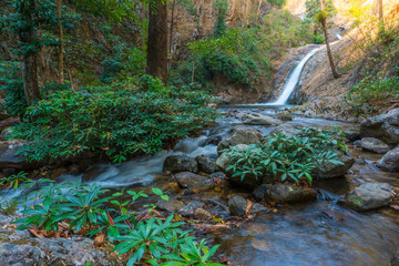 Japanese Hot Springs Onsen Natural Bath Surrounded by red-yellow leaves. In fall leaves...
