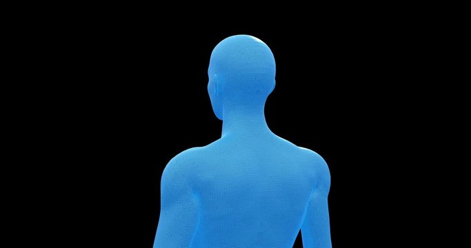 Man, Male 3D Wireframe Model, Seamless Loop, Transparent  with Alpha