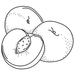 Hand drawing peaches; doodle fruits for stickers, posters, web design. Black and white vector illustration.