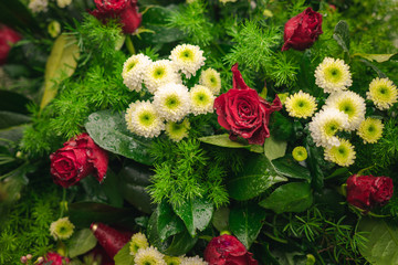 colorful flowers and beautiful roses
